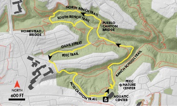 Bridges Loop