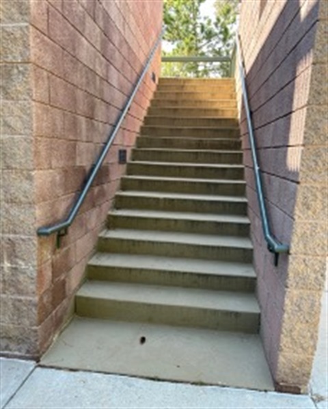 Picture1.jpg