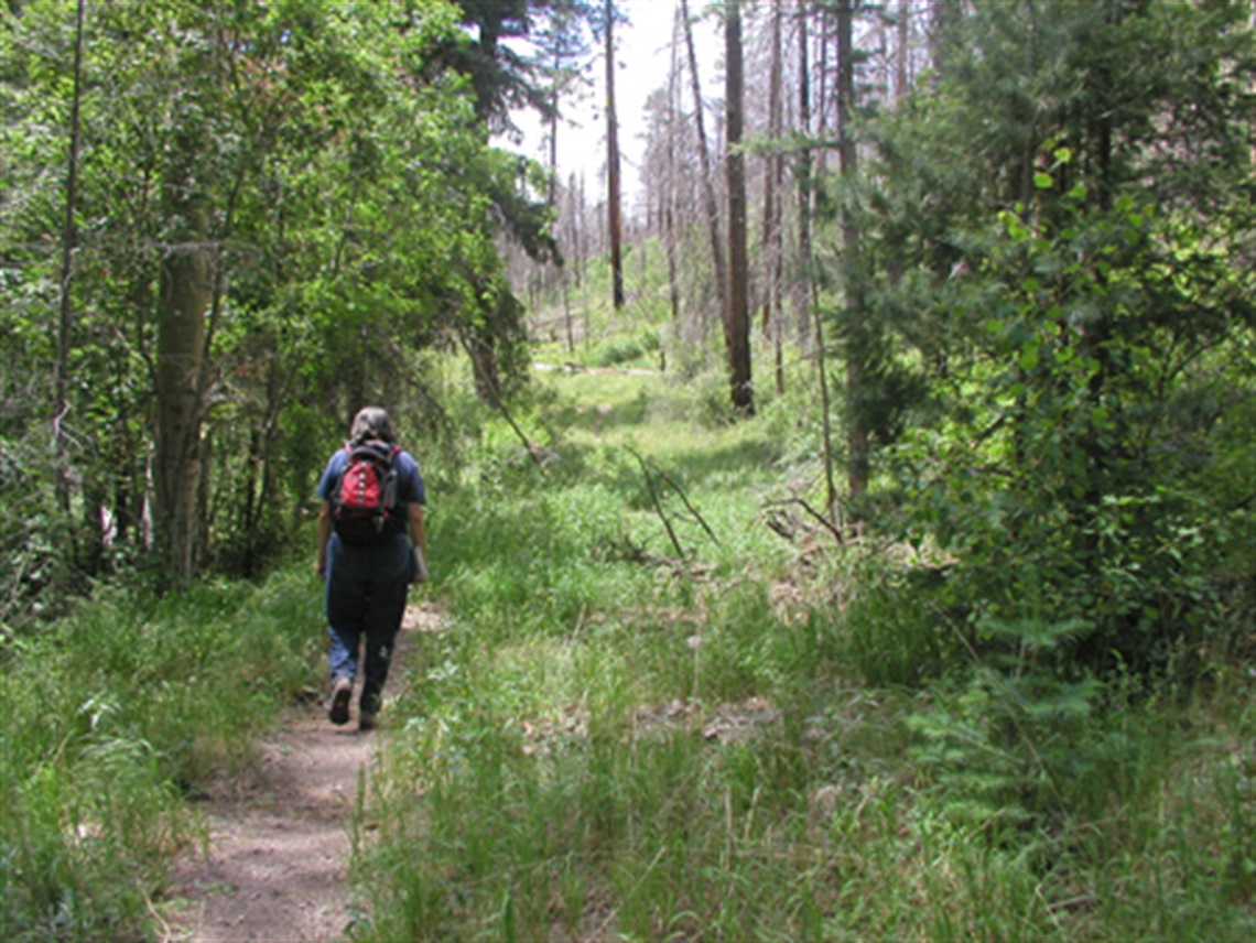 cañon_de_valle.jpg