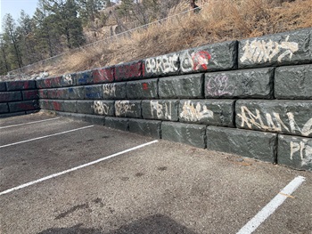 Graffitied retaining wall