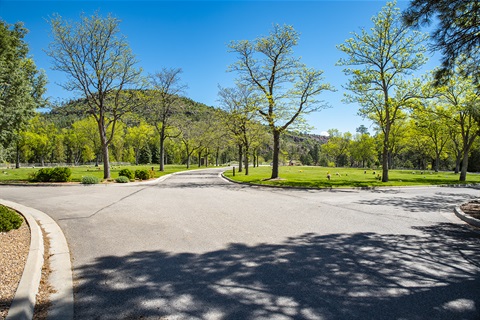 Guaje Pines Cemetery Image