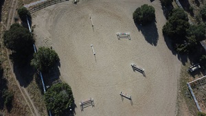 Red Jackson Jumping top view