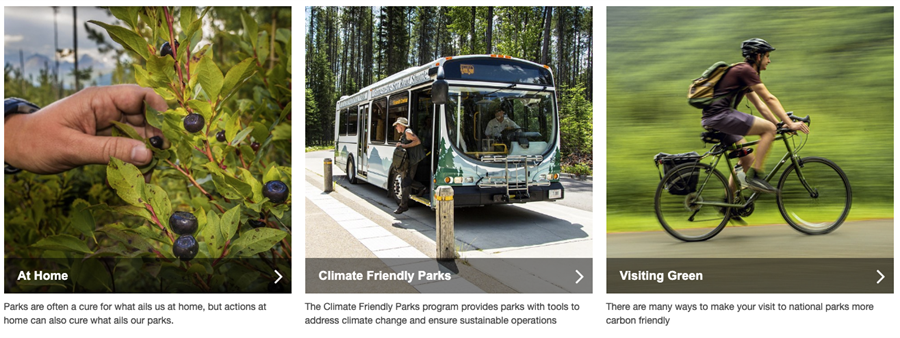 NPS Mitigating the cause website screenshot showing three areas of action: at home, climate friendly parks and visiting green - click to navigate to the NPS Mitigating the cause website to learn about all three of these actions