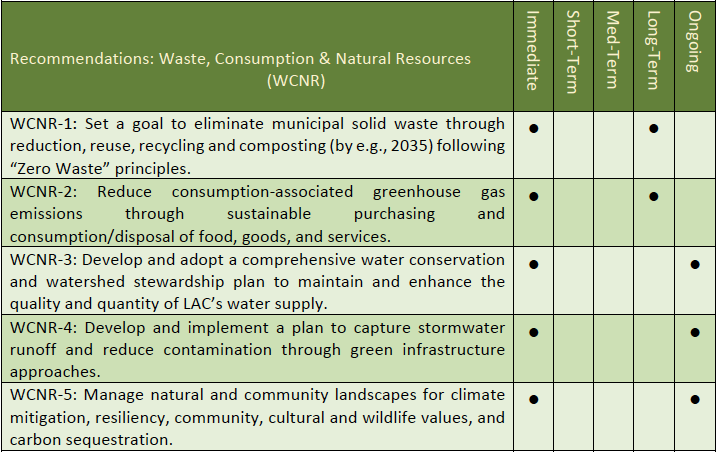 Waste, Consumption and Natural Resources 1 screenshot of recommendations in LARES final plan