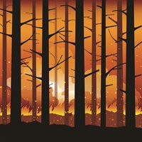 Burning Woods Graphic.jpg