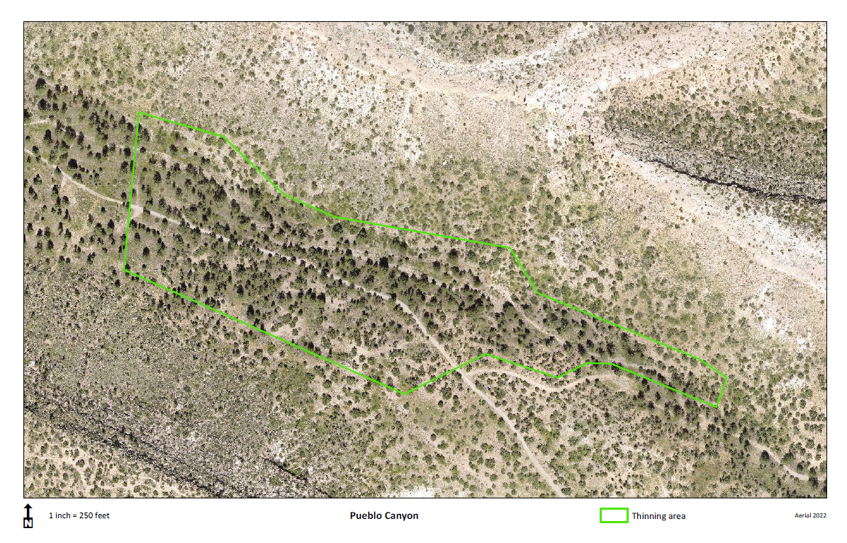 Thinning-3-Pueblo-Canyon.png