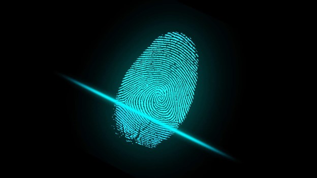 Electronic Fingerprint