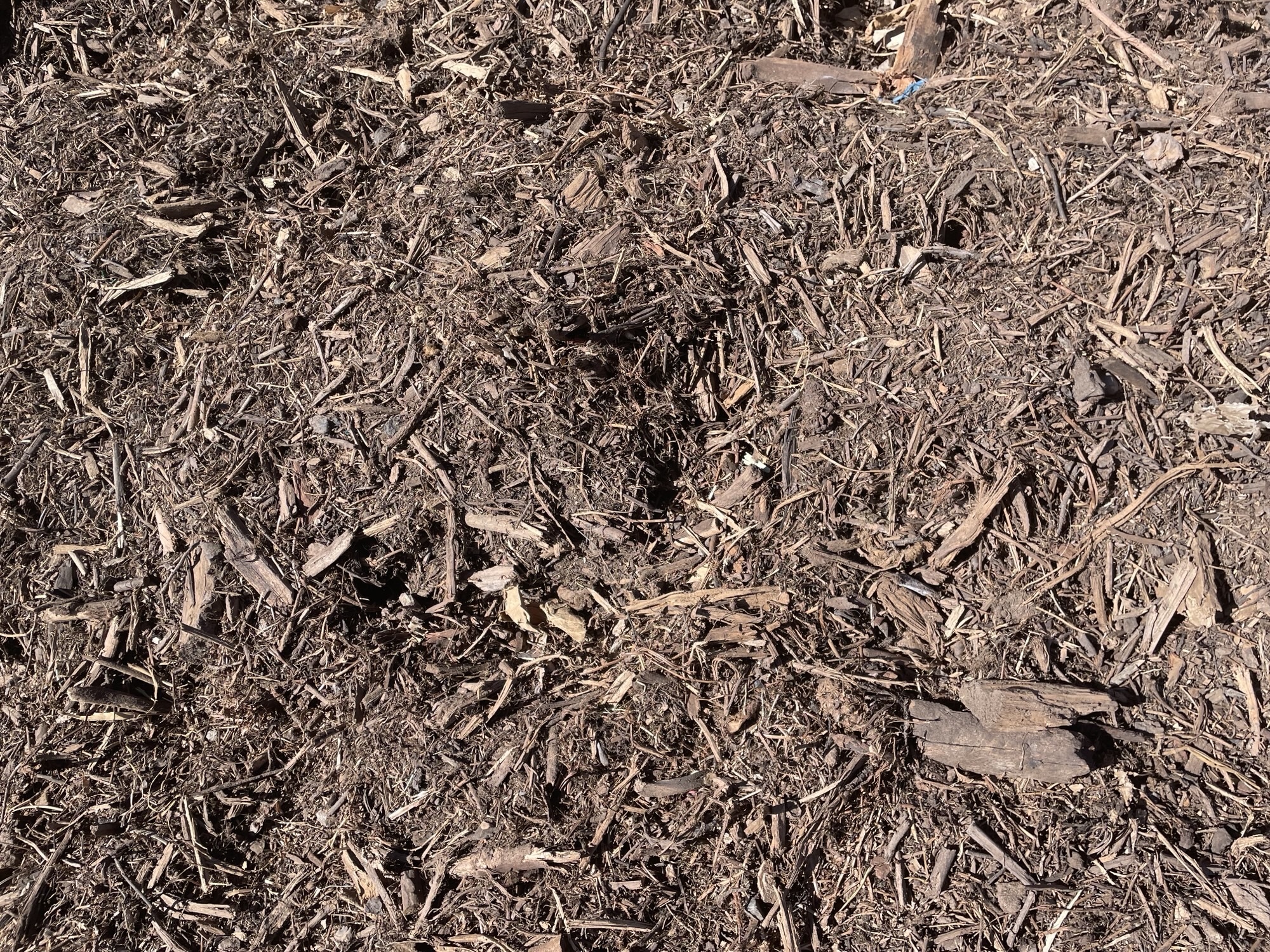 Mulch.jpeg