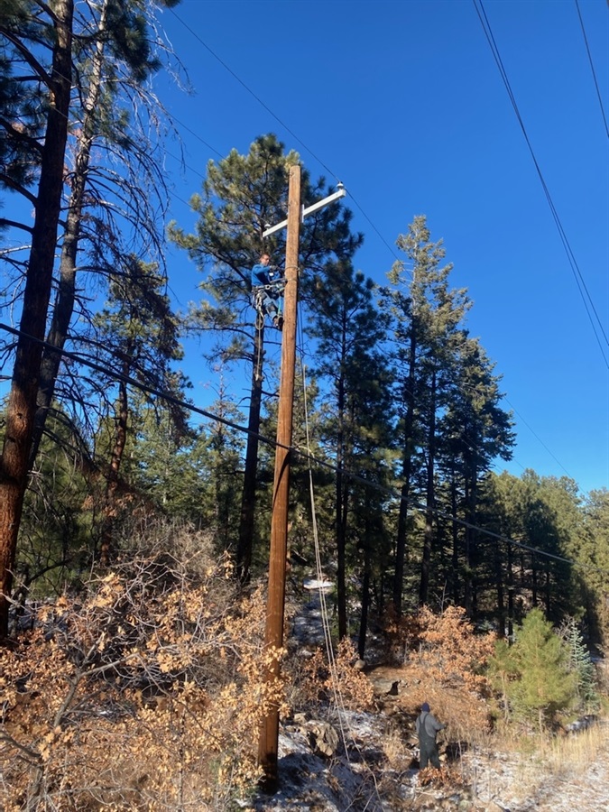 Lineman in a Tree