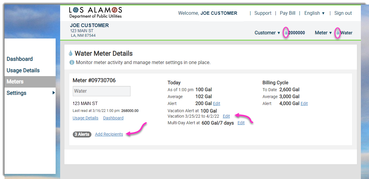 Los Alamos Department of Public Utilities Customer Portal - Meter Details