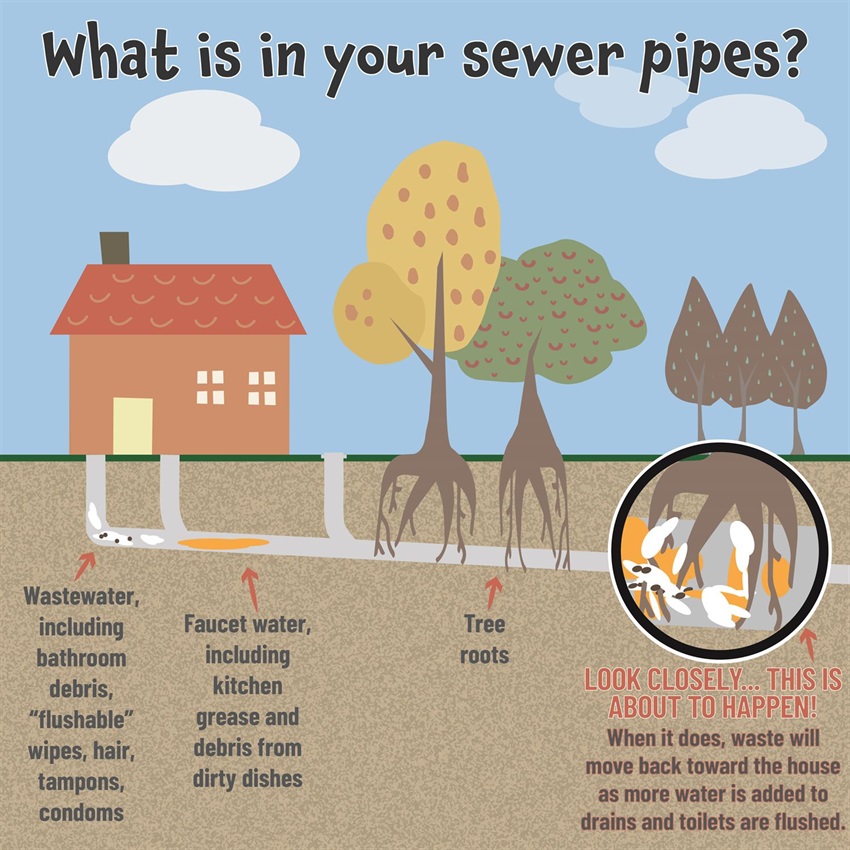 Sewer under house infographic