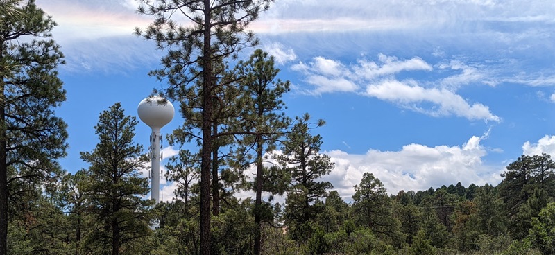 A view through the pines of the hawk water tower from across the canyon 