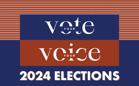 Vote-Voice-2024-ELECTIONS.png