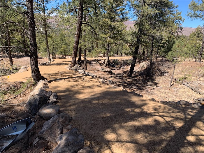 Kinnikinnik Park ADA Trail Completed in the trees horizontal