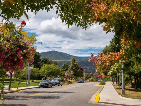 Photograph of Los Alamos downtown.  Tree lined street with mountains in the background.