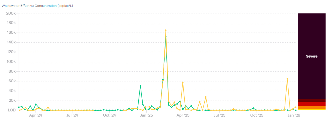Graph displaying the concentration of RSV in the Los Alamos County and White Rock Wastewater Treatment Plants from February 22, 2024 to the present.