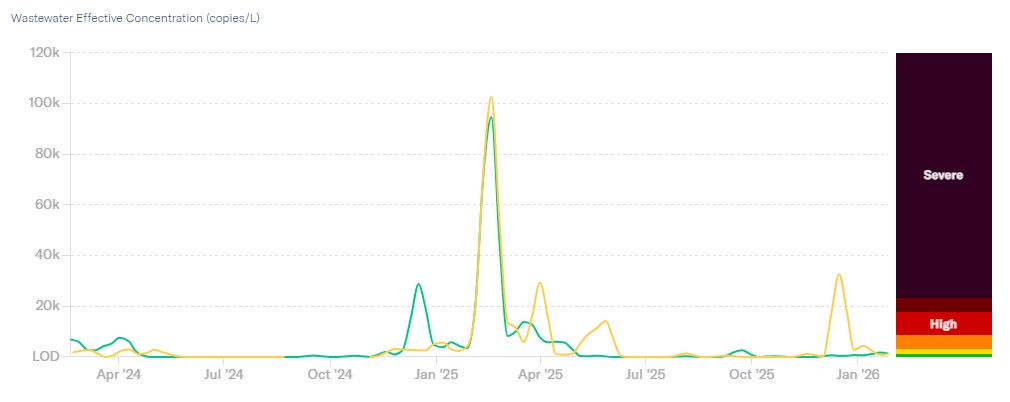 Graph displaying the concentration of RSV in the Los Alamos County and White Rock Wastewater Treatment Plants from February 22, 2024 to the present.